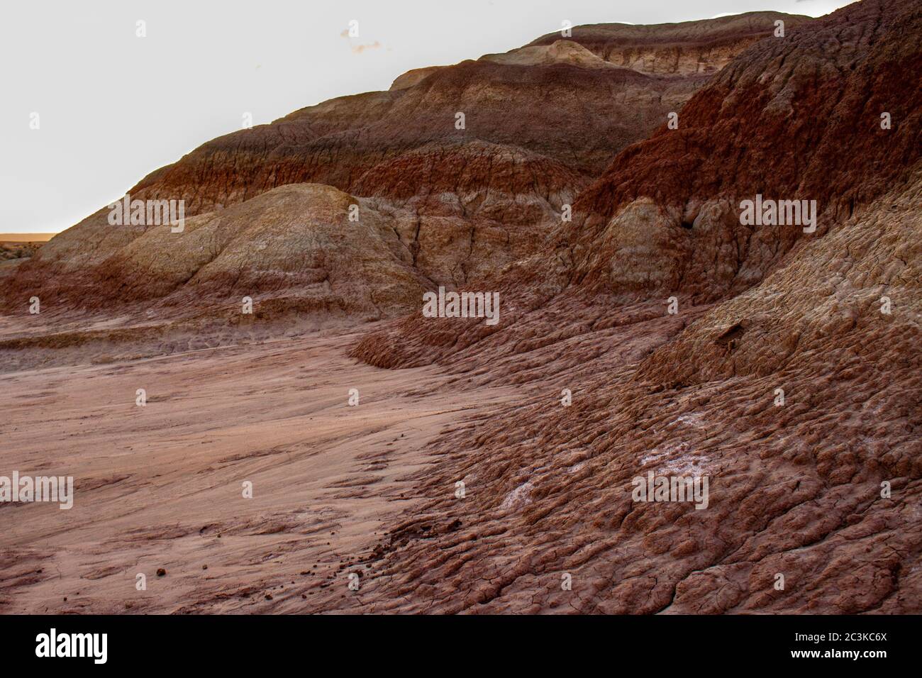 Cracked mud and layered mineral deposits at sunset in the Bisti Badlands, De-Na-Zin Wilderness, New Mexico Stock Photo
