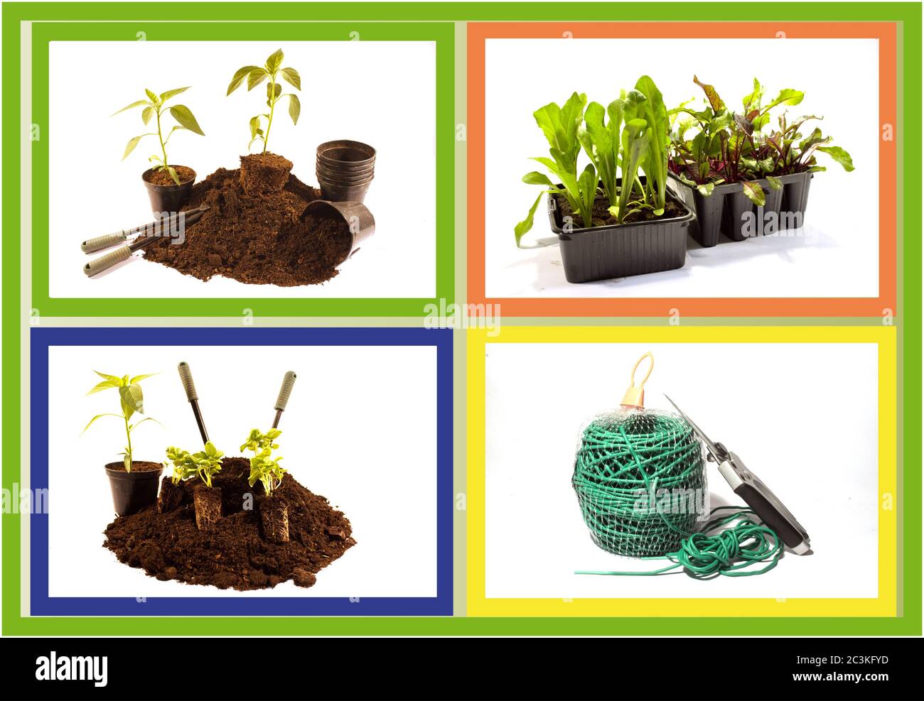 Gardening tools blooming plants hi-res stock photography and images - Alamy