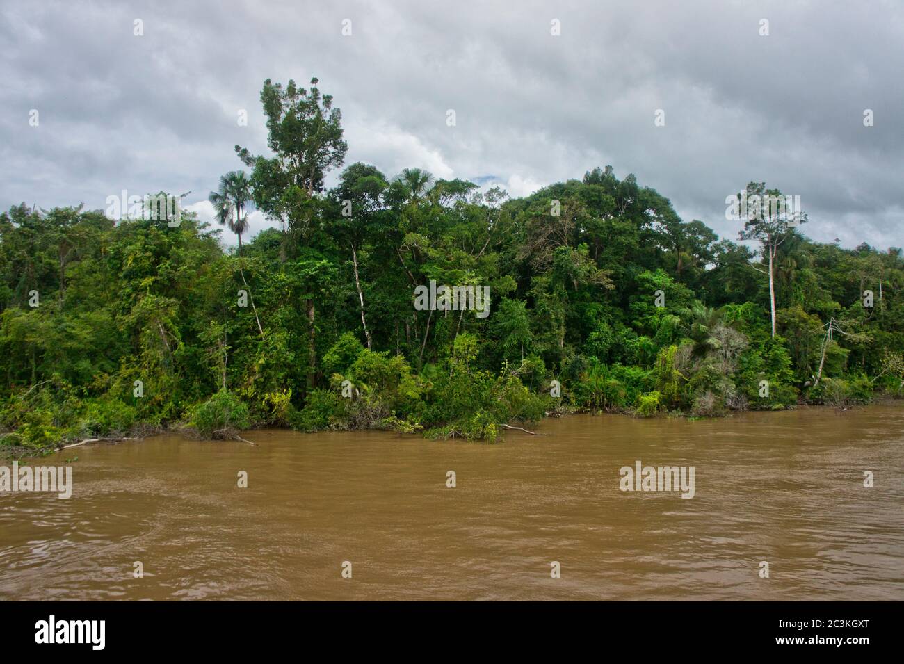 Amazon river view from a riverboat, Amazon Basin, Brazil Stock Photo