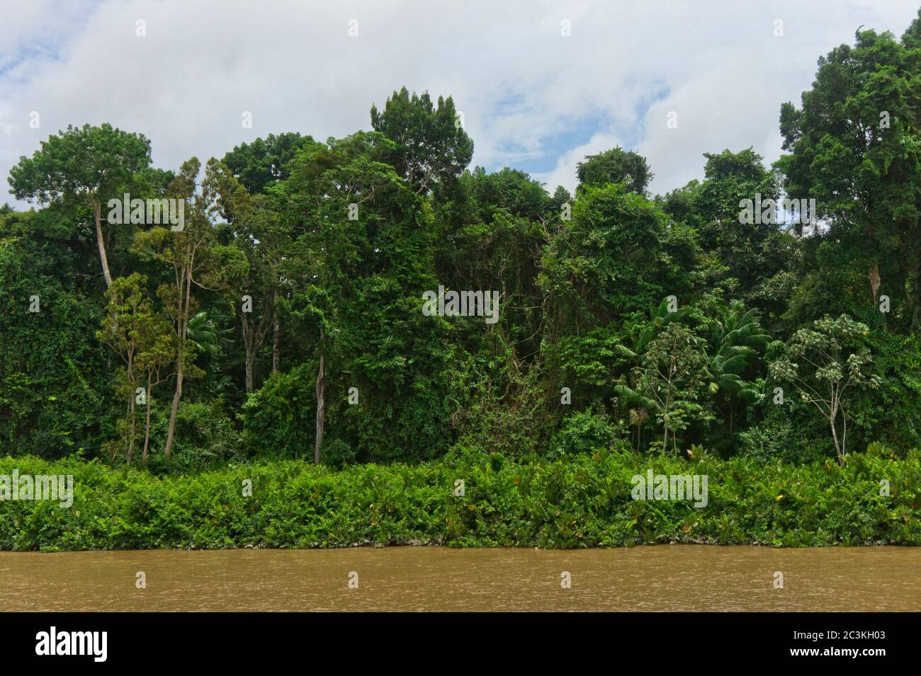 Amazon river view from a riverboat, Amazon Basin, Brazil Stock Photo