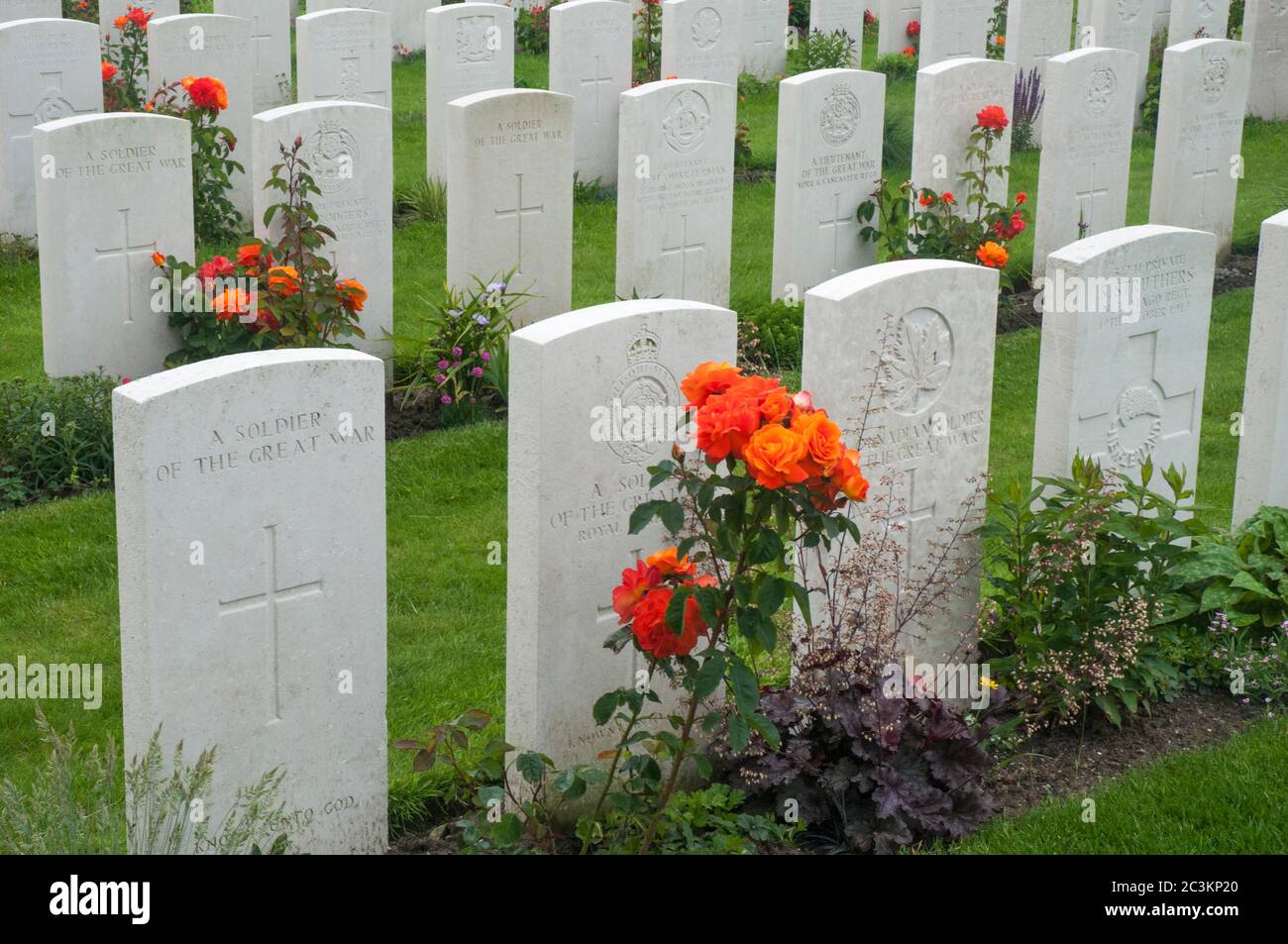 Tyne Cot Military Cemetery, Zonnebeke, Belgium, is the largest British military cemetery in the world Stock Photo