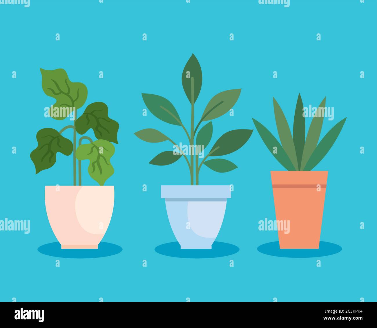 collection, house pot plants nature icons Stock Vector Image & Art - Alamy