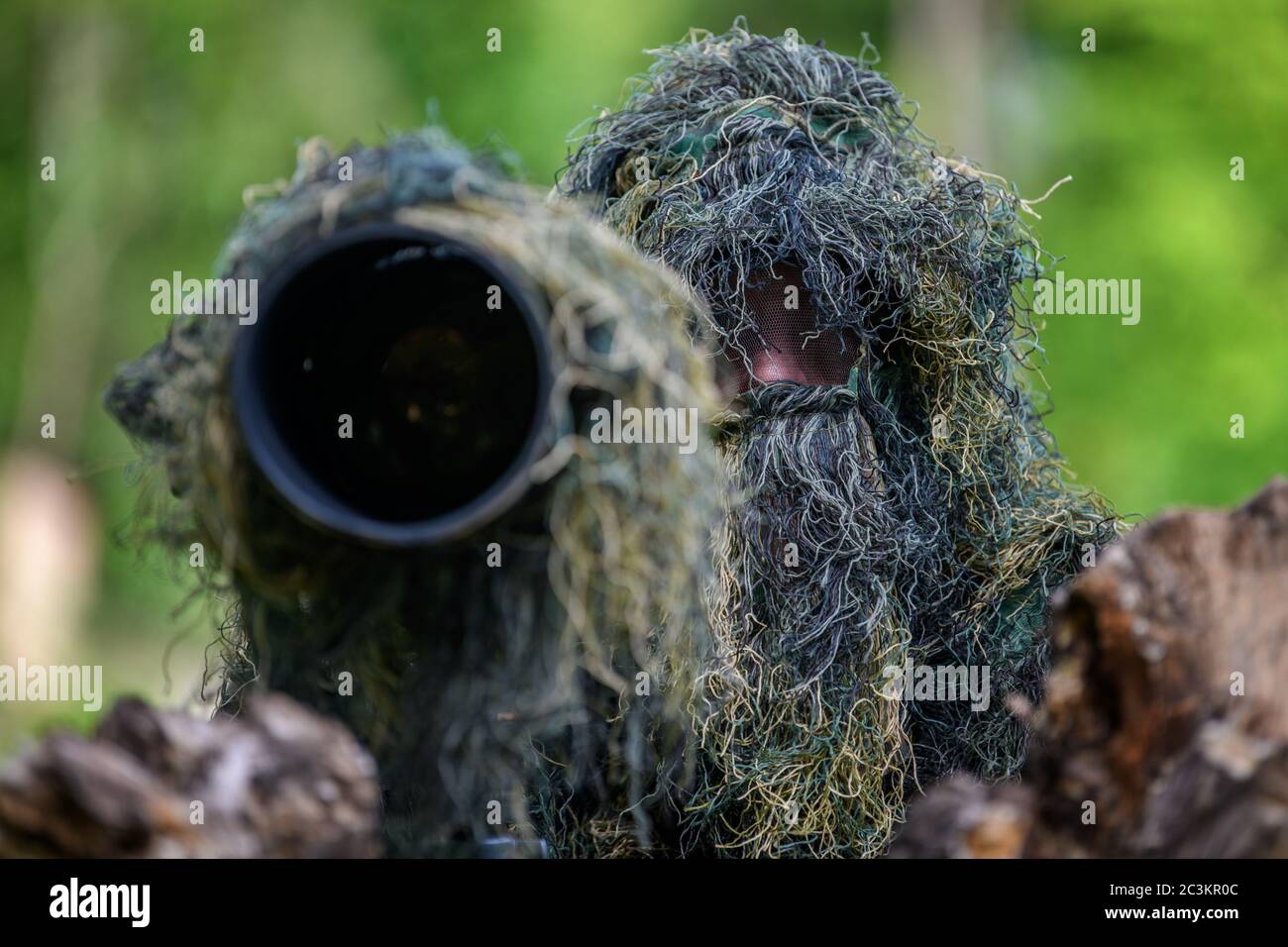 Wildlife photographer in the summer ghillie camouflage suit working in the wild Stock Photo