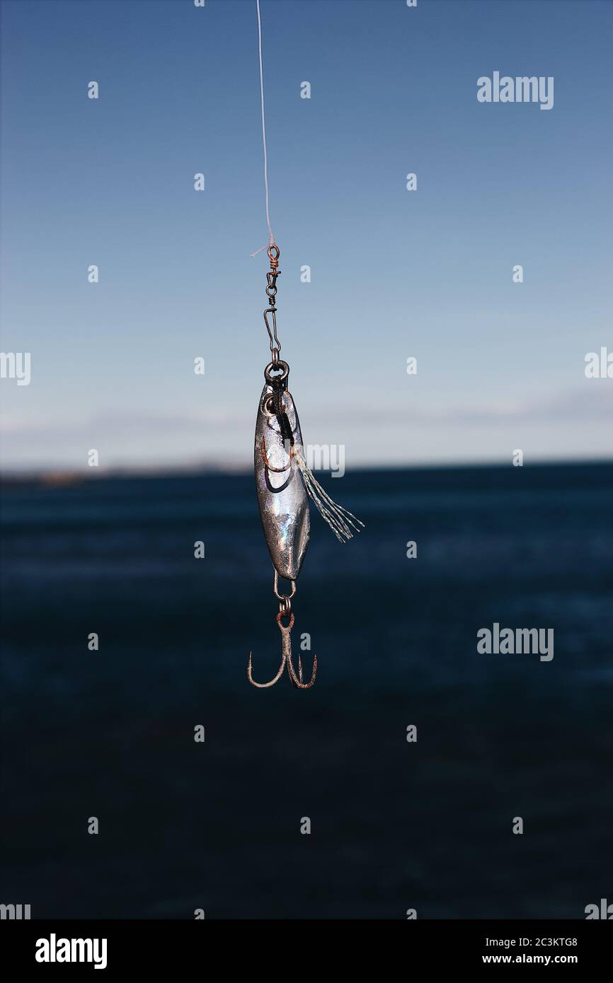 Fishing hook hanging on a fishing line Stock Photo - Alamy, Fish