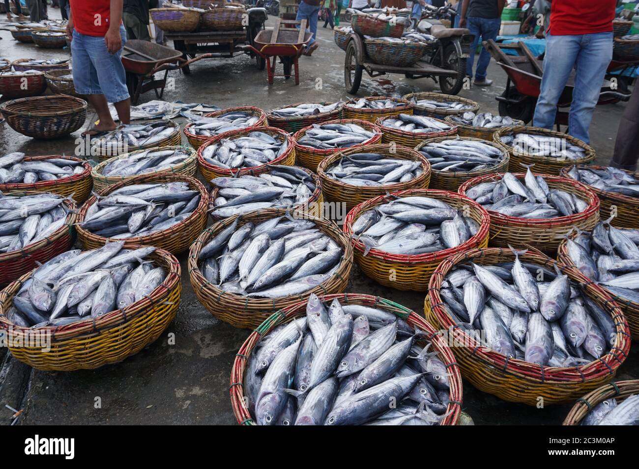 A fresh caught fishes in a local wet market in Aceh, Indonesia Stock Photo
