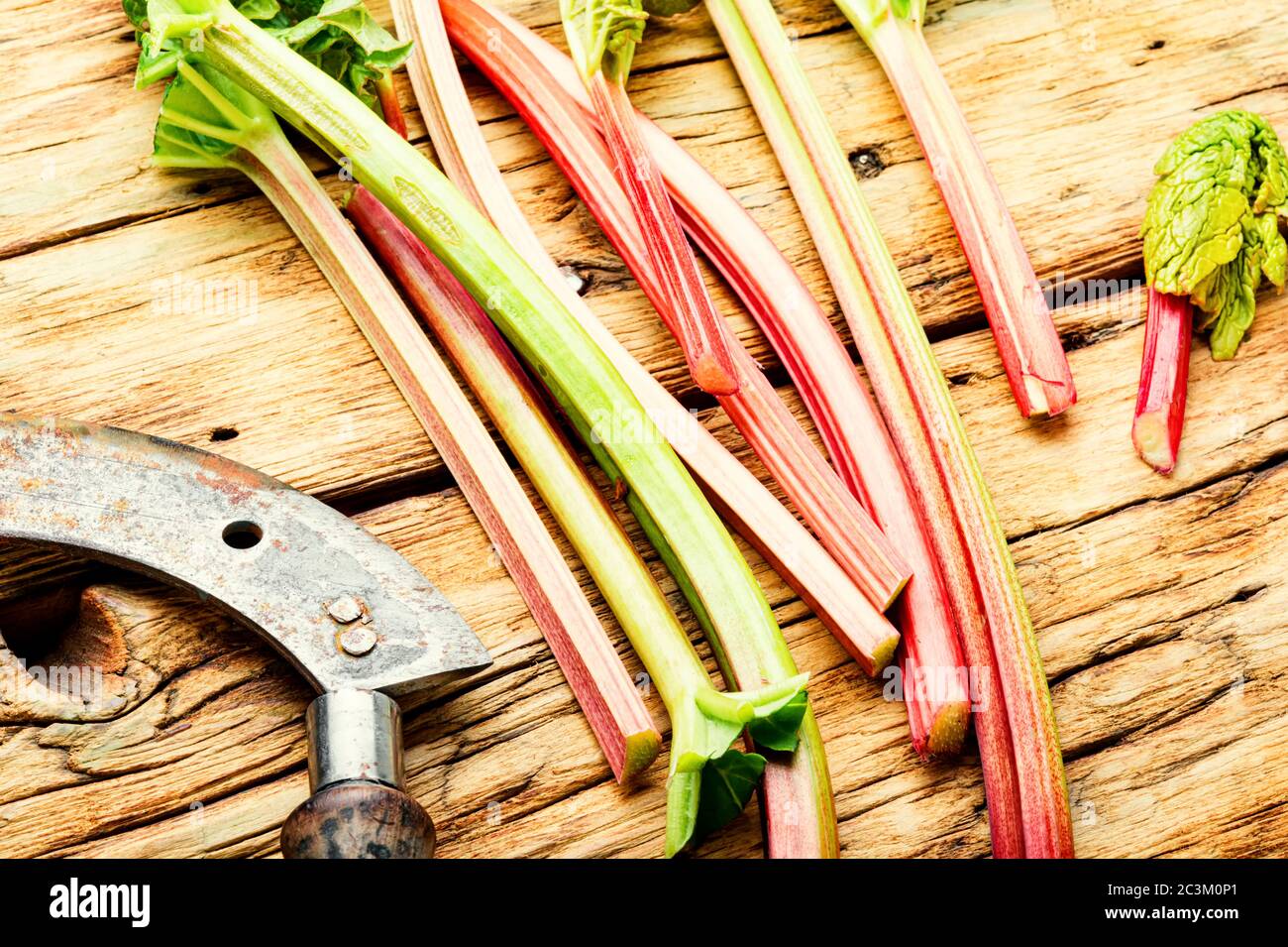 Fibrous Stem High Resolution Stock Photography and Images - Alamy