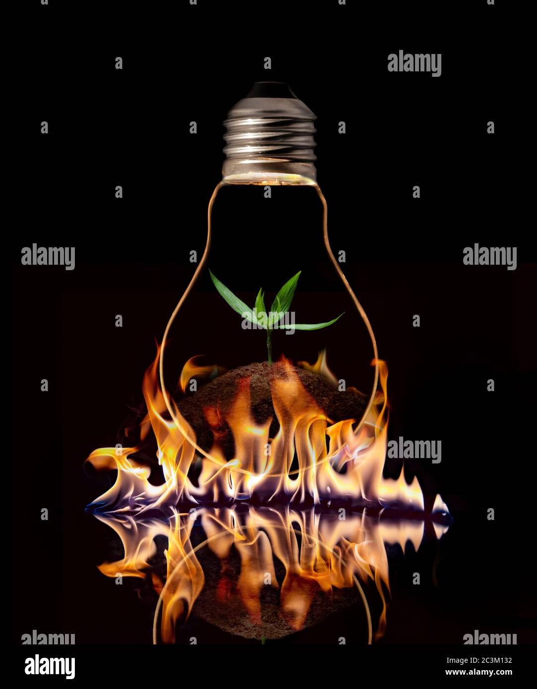 A light bulb with fresh green leaves inside on the fire, isolated on black background. Stock Photo