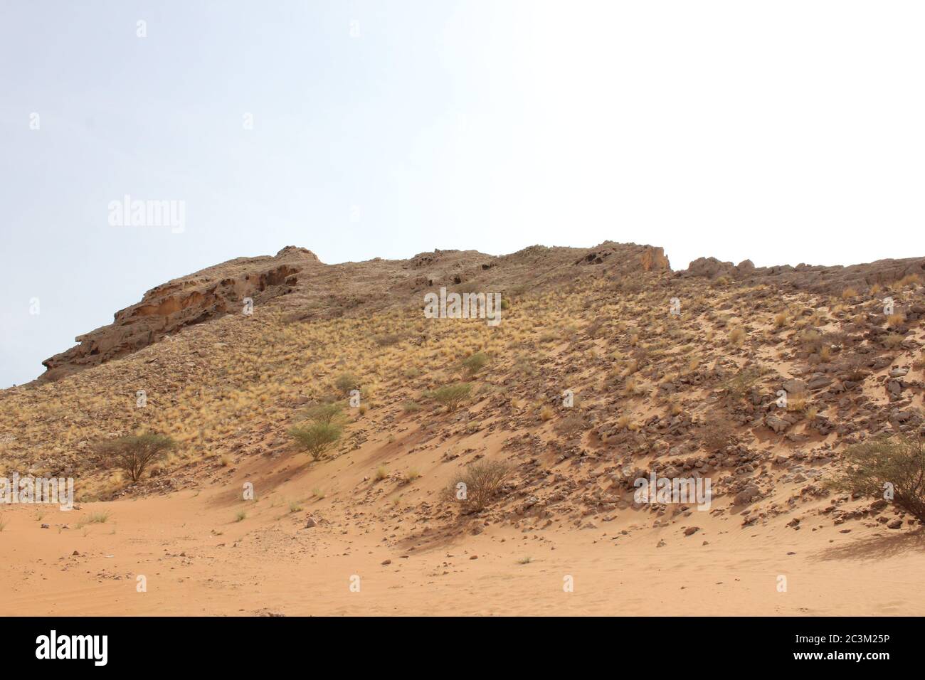 Fossil Rock is an iconic rock formation bearing marine fossils in arid
