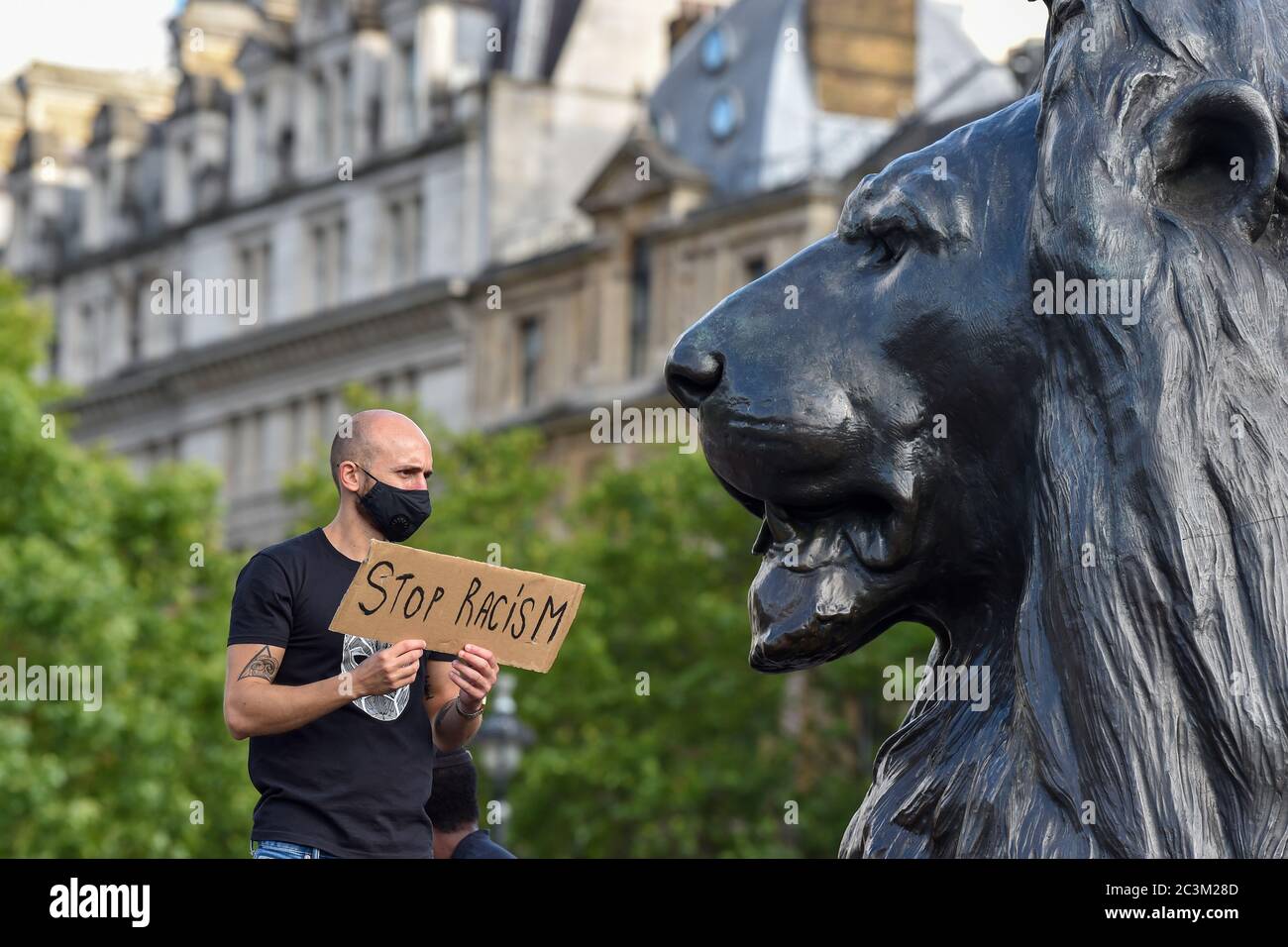 London, UK. 20th June, 2020. A protester holds a placard that says Stop Racism while standing on one of the Lion statues in Trafalgar Square during the Black Lives Matter protest.Black Lives Matter protests continue in the United Kingdom after the death of George Floyd killed by a police officer in Minneapolis. Credit: SOPA Images Limited/Alamy Live News Stock Photo
