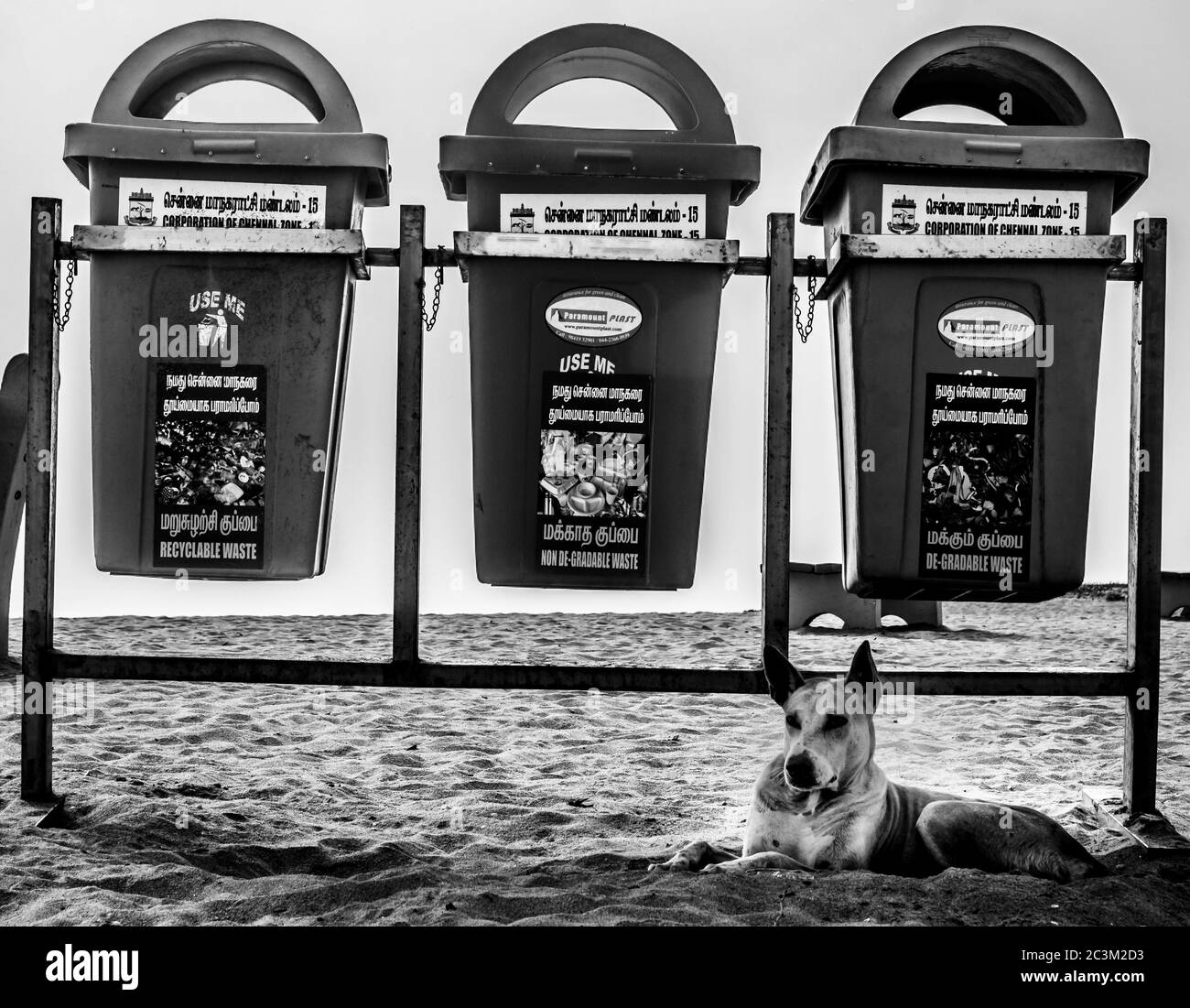 Portuguese recycling recycle Black and White Stock Photos & Images - Alamy