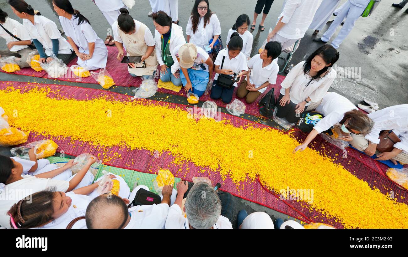 PATHUM THANI - JANUARYÊ27: Followers preparing the road for 1,128 monks wandering 460km through Bangkok and surroundings on yellow petals on JanuaryÊ2 Stock Photo
