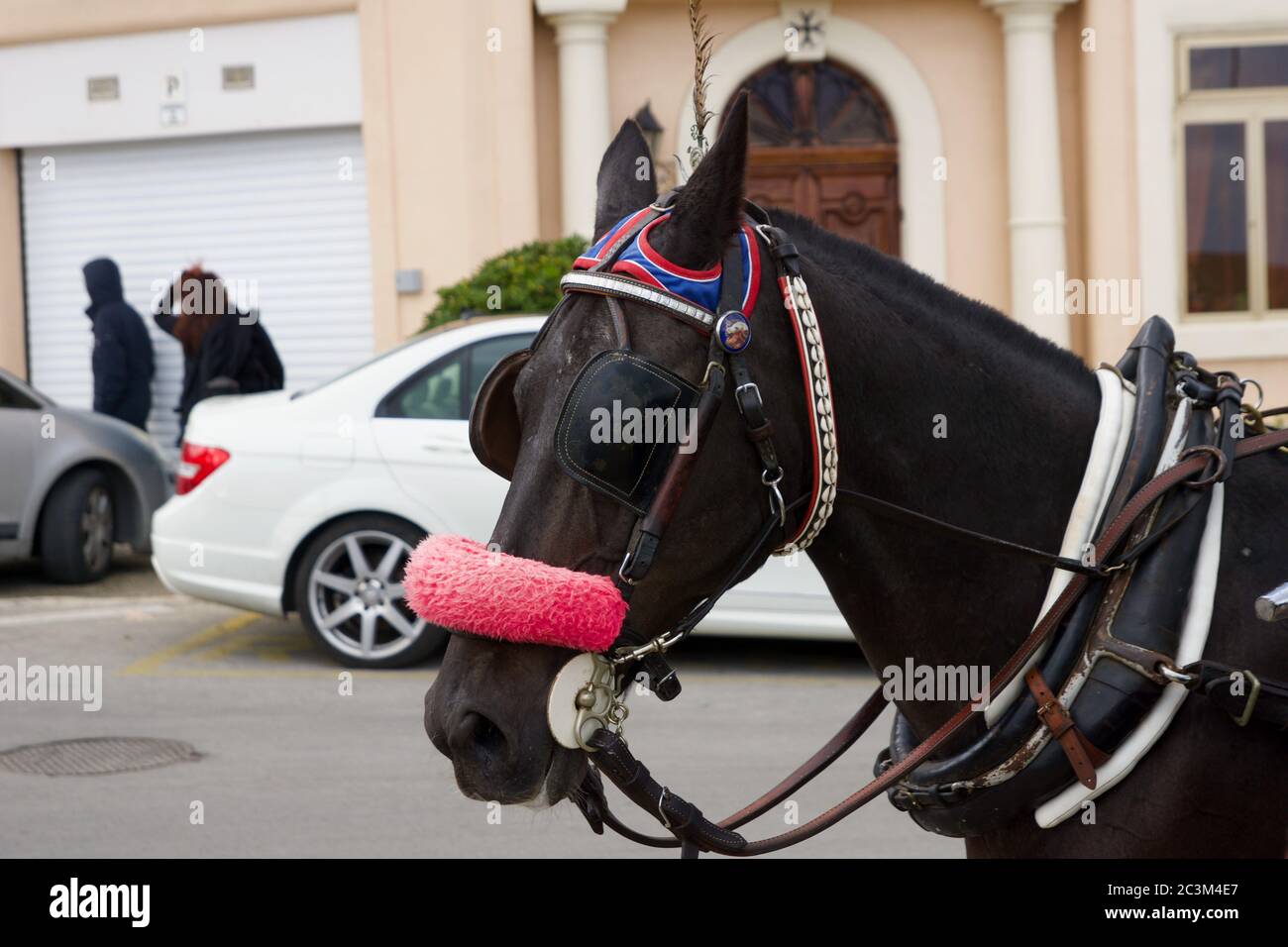 VALLETTA, MALTA - DEC 31st, 2019: Horse drawn carriage in the city centre of Valletta Stock Photo