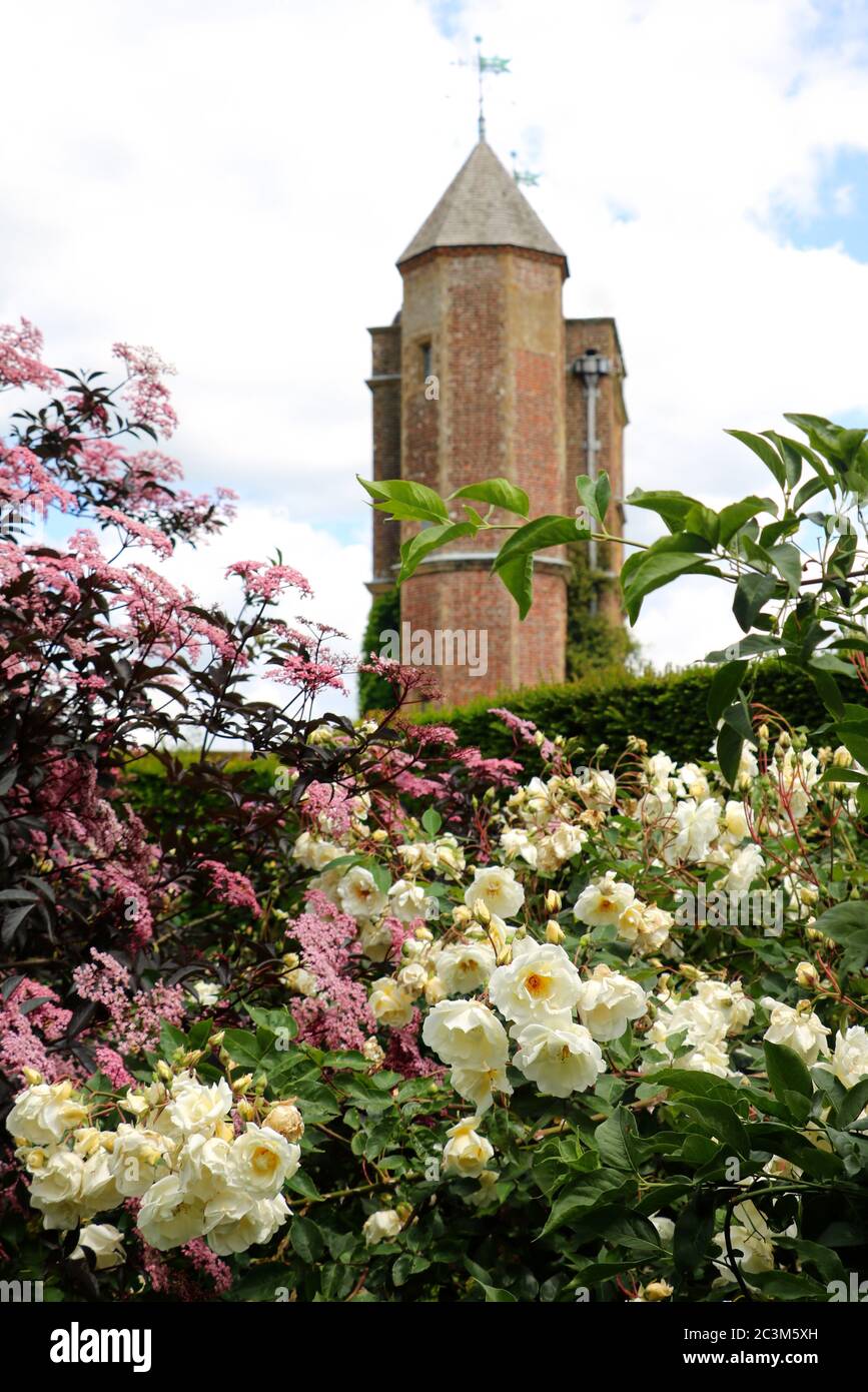 Sissinghurst castle garden with white roses Stock Photo
