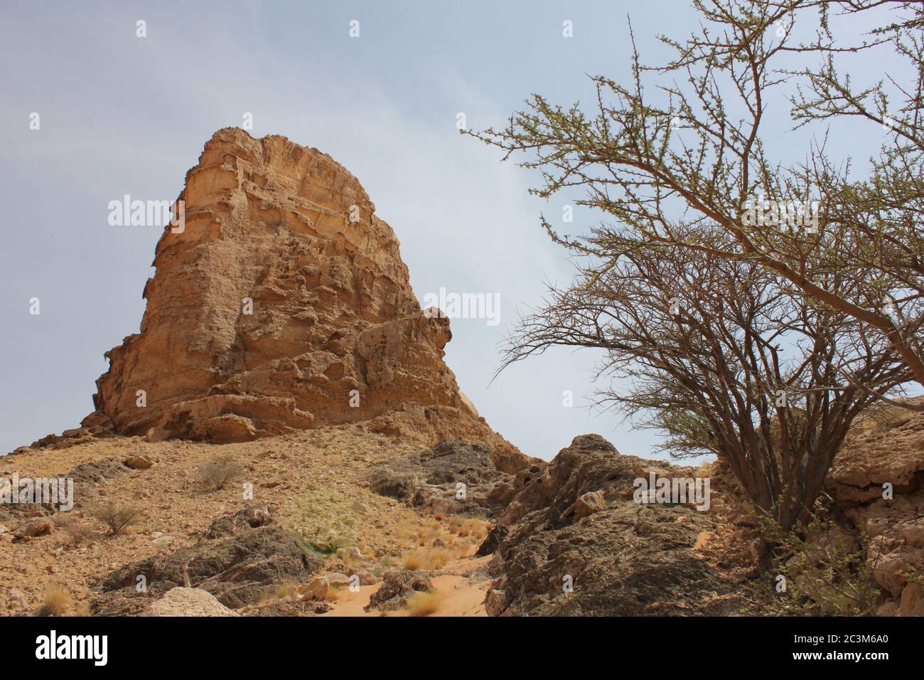 Fossil Rock is an iconic rock formation bearing marine fossils in arid ...