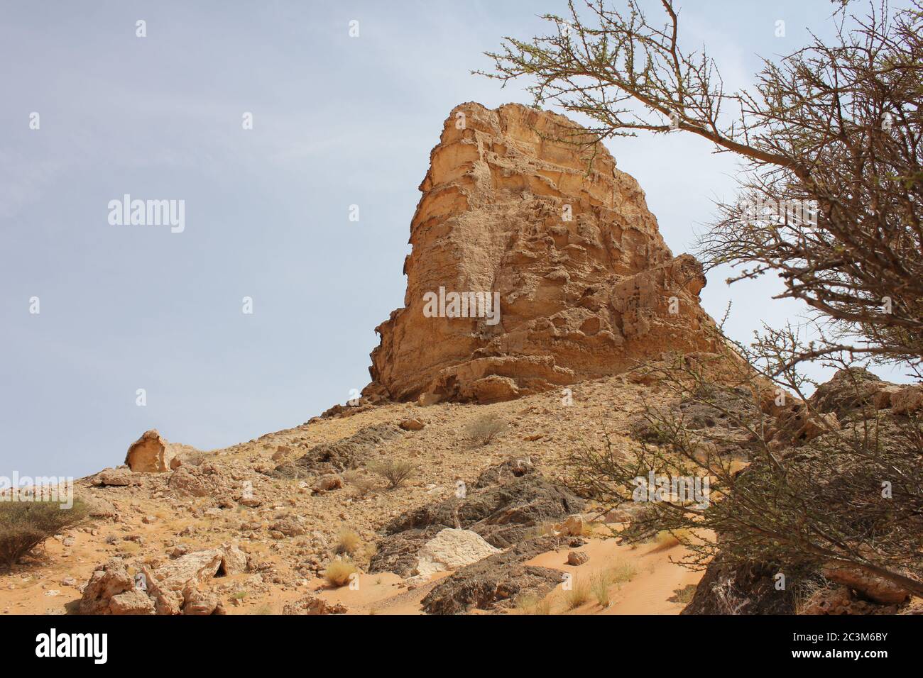 Fossil Rock is an iconic rock formation bearing marine fossils in arid ...