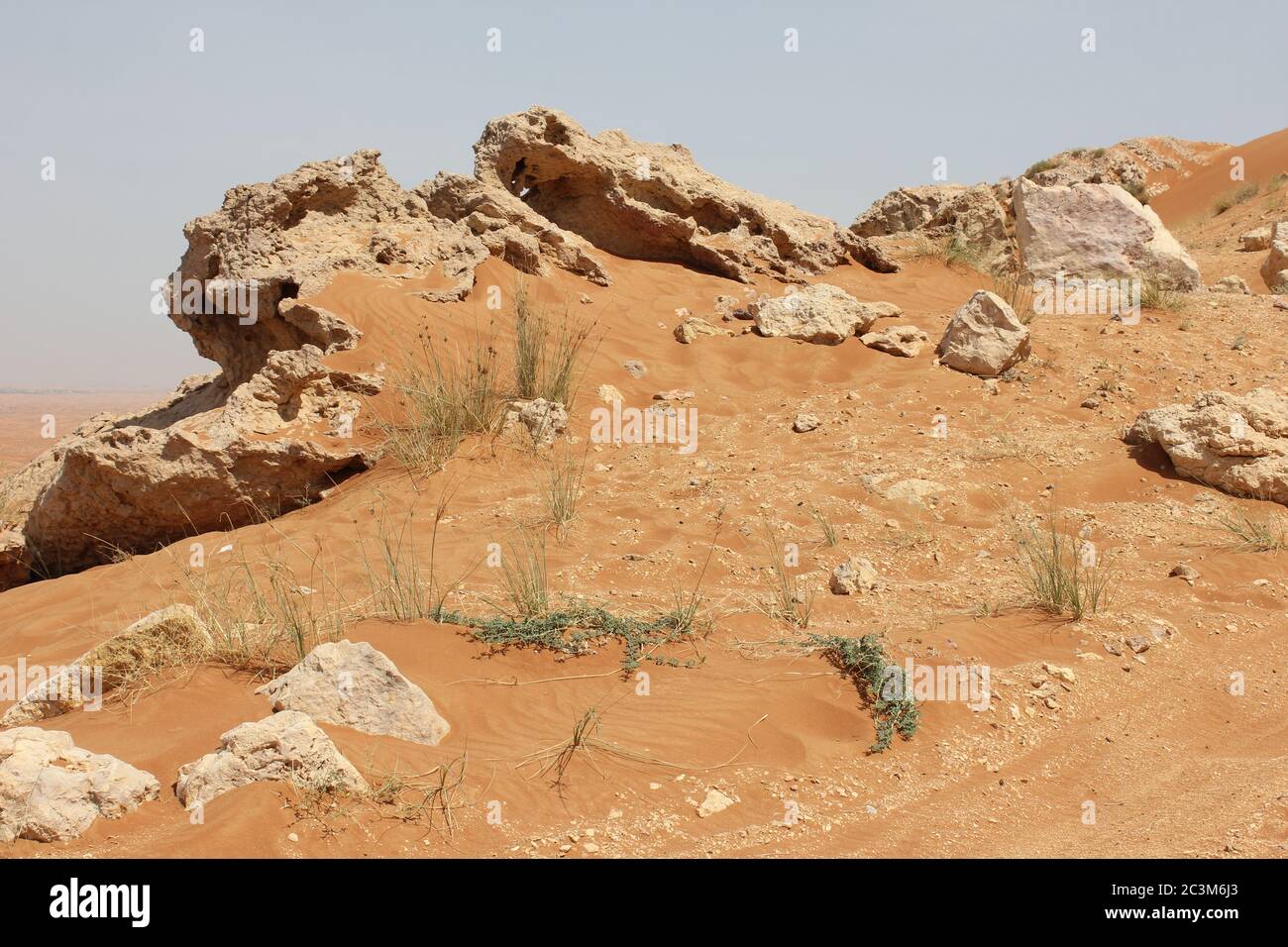 Fossil Rock is an iconic rock formation bearing marine fossils in arid desert sand dunes in