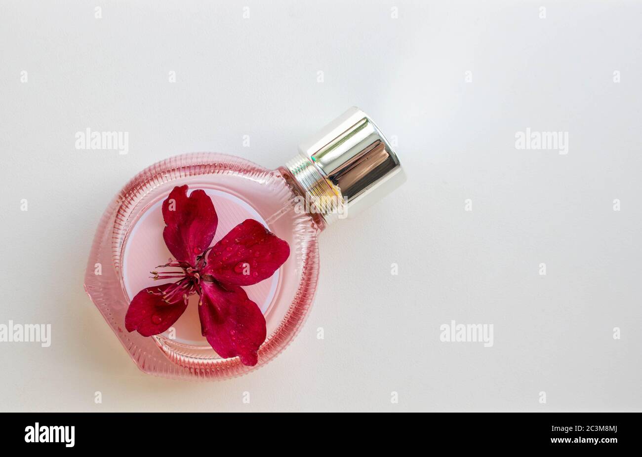 flowers bloom season perfume