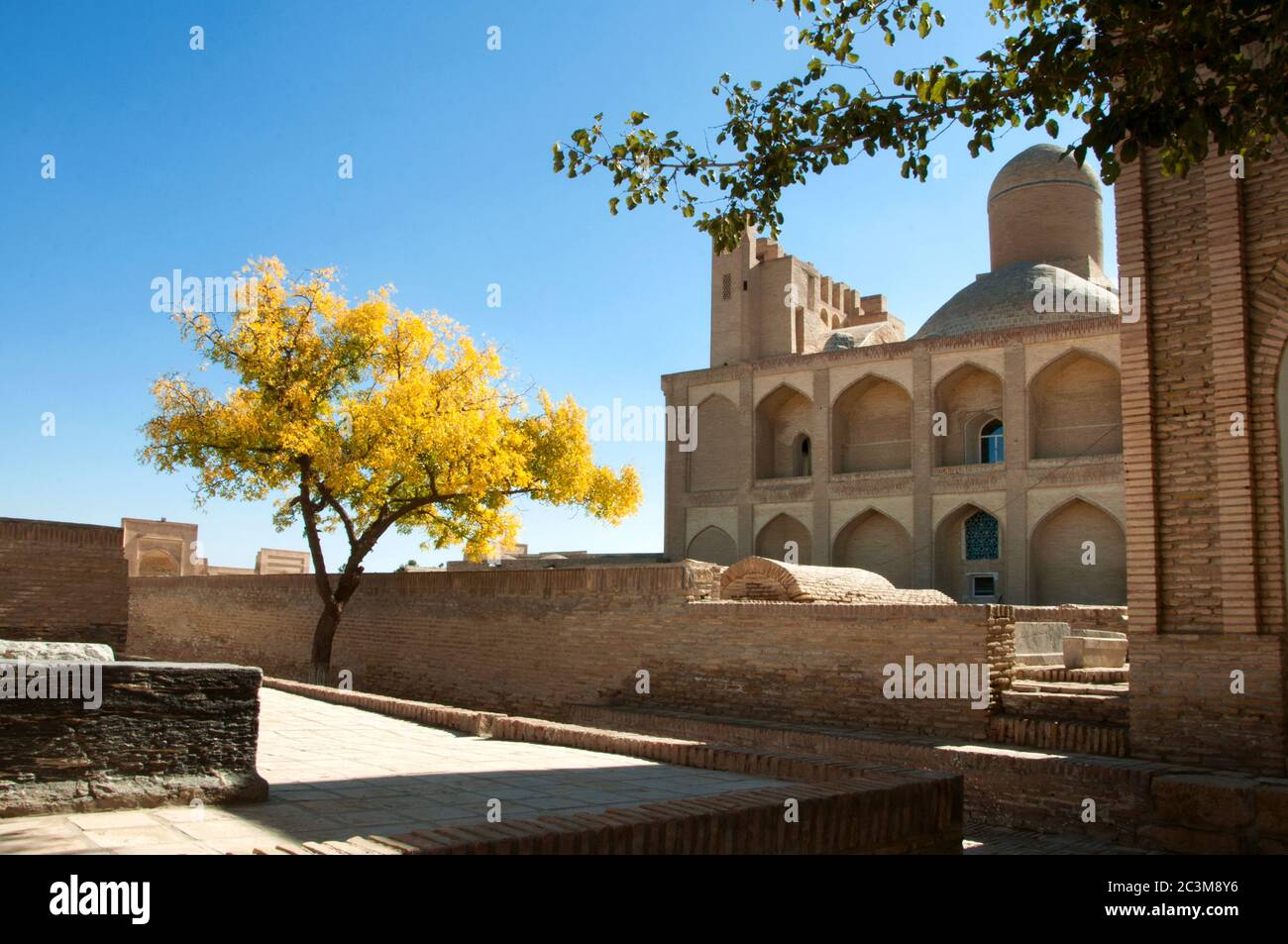 View over the memorial complex of Chor-Bakr (necropolis), also called the city of dead, with beautiful golden yellow tree, Bukhara, Uzbekistan Stock Photo