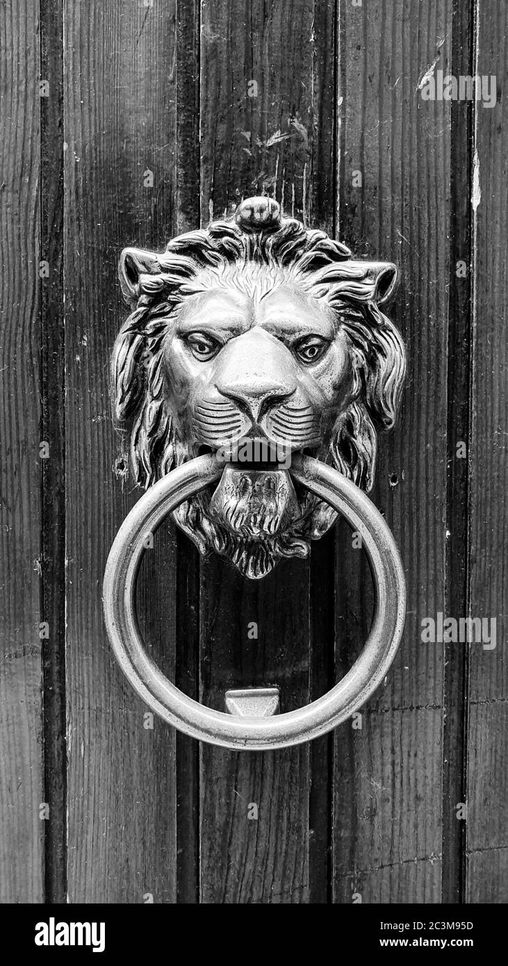 Vertical grayscale shot of a rusty door lock with a lion sculpture in Venice Stock Photo