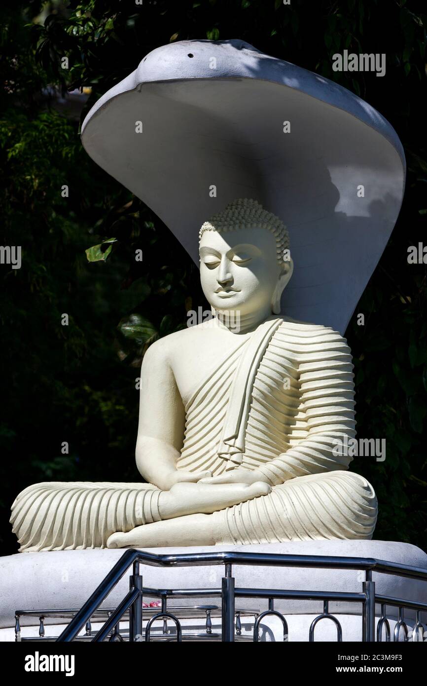 Buddha statue with umbrella hires stock photography and images Alamy