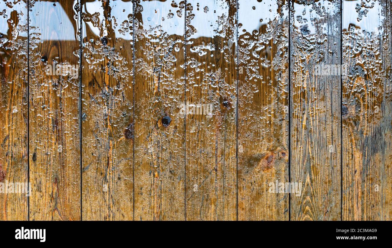 panoramic view of indoor wet wooden floor from varnished spruce floorboard flooded by rain Stock