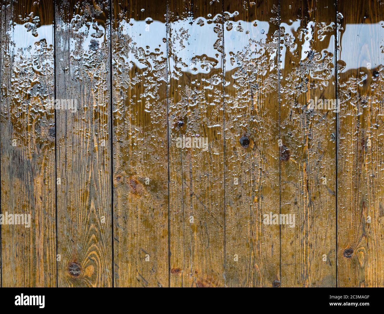 indoor wet wooden floor from varnished spruce floorboard with rain