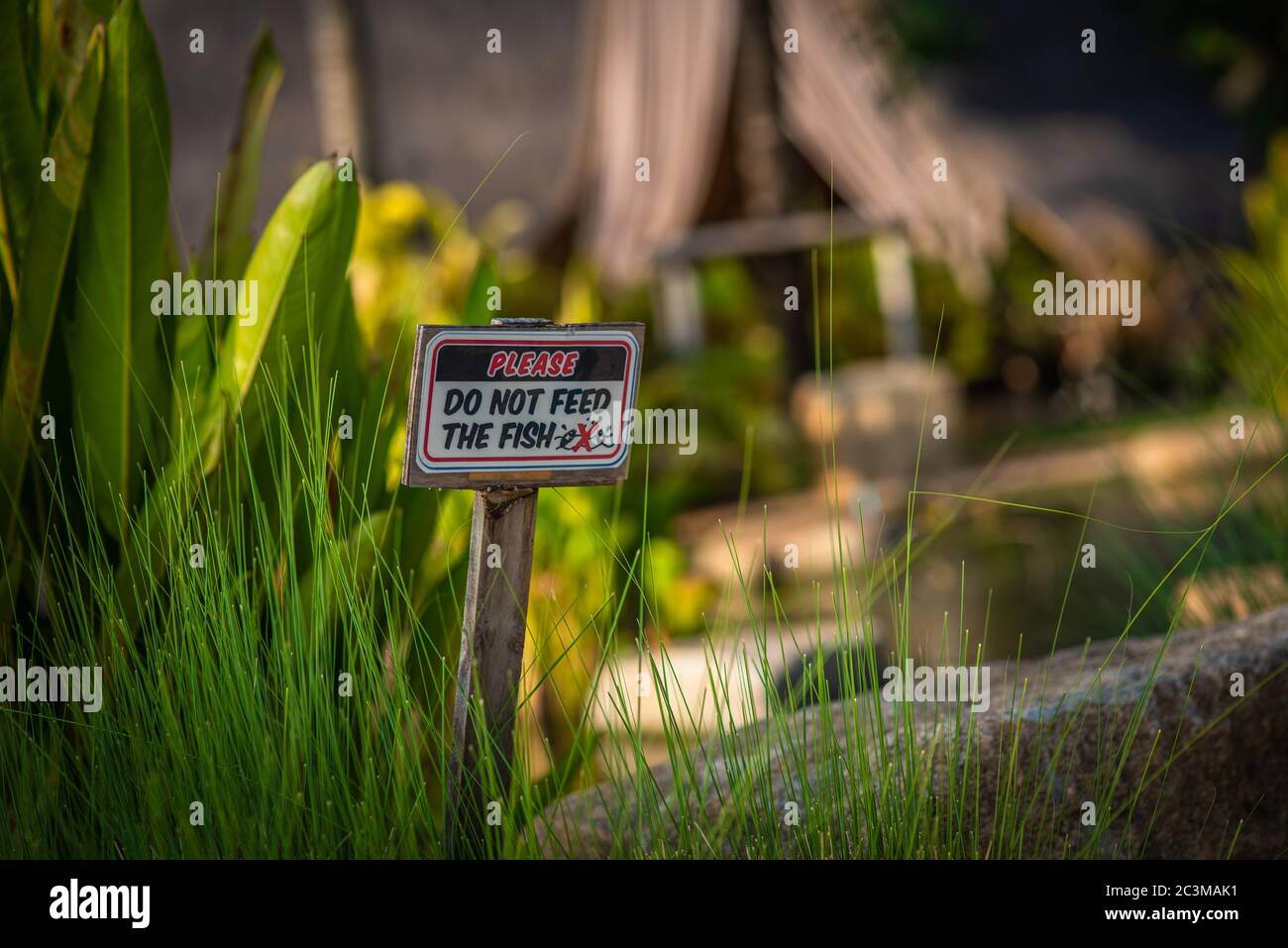 Do not feed the fish, Thailand Stock Photo - Alamy
