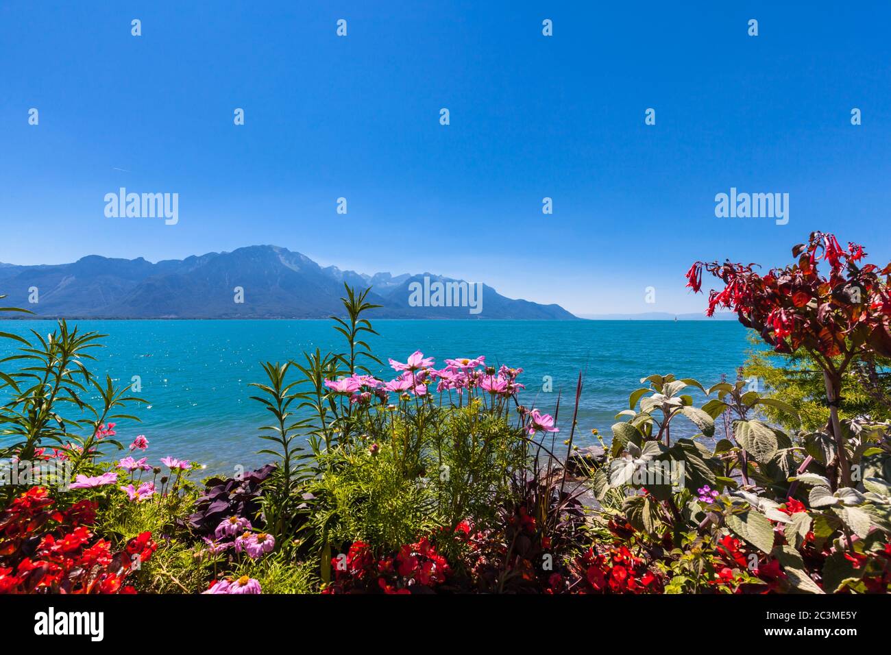 Beautiful view of the Alps, Geneva lake from Montreux city with colorful flowers in foreground on a sunny summer day, Canton of Vaud, Switzerland Stock Photo