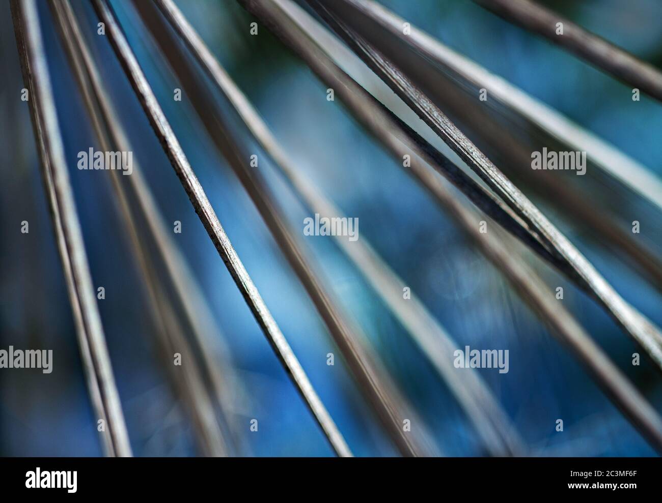 Dead ornamental grass hires stock photography and images Alamy