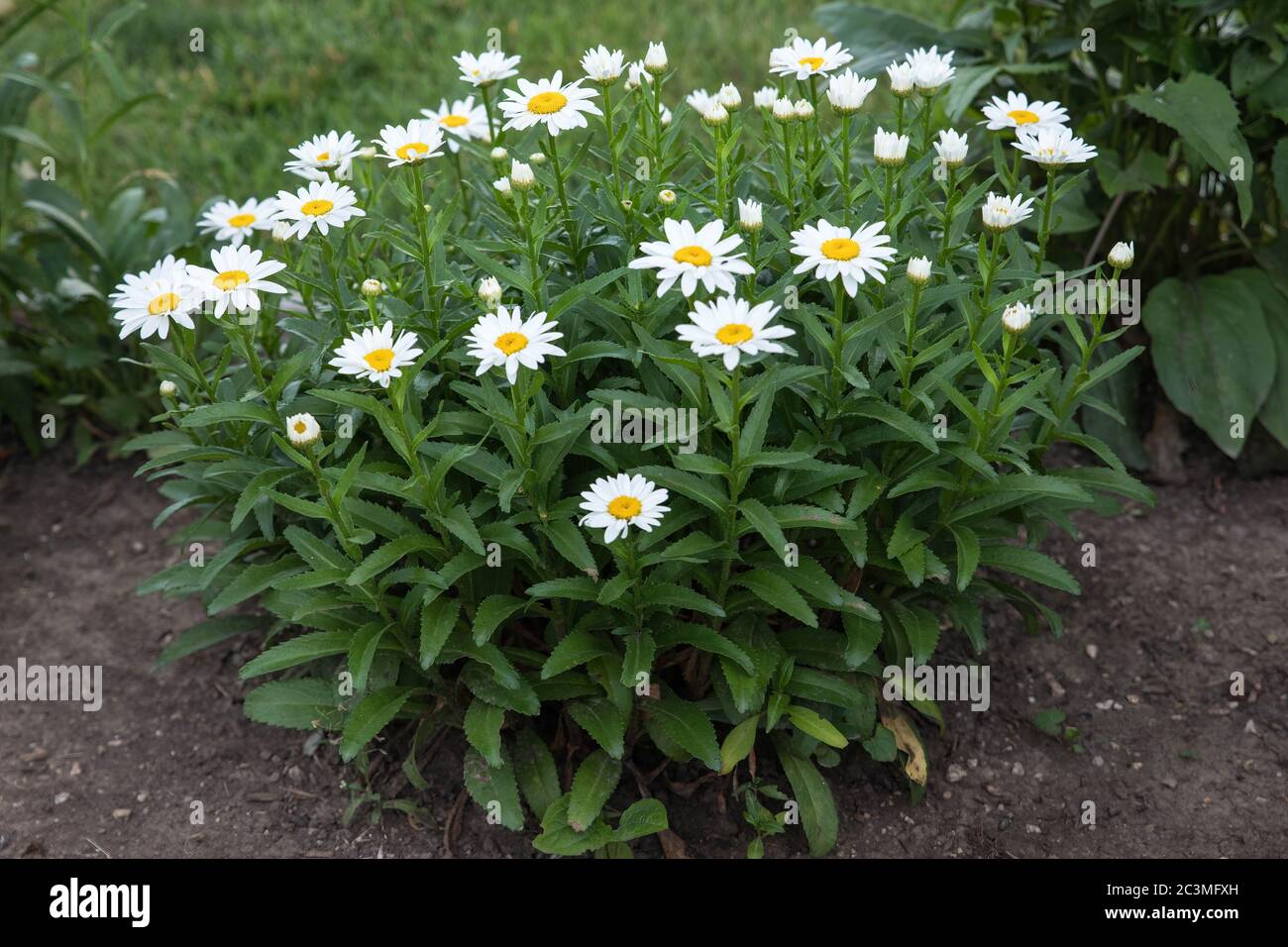 Wide medium angle hi-res stock photography and images - Alamy