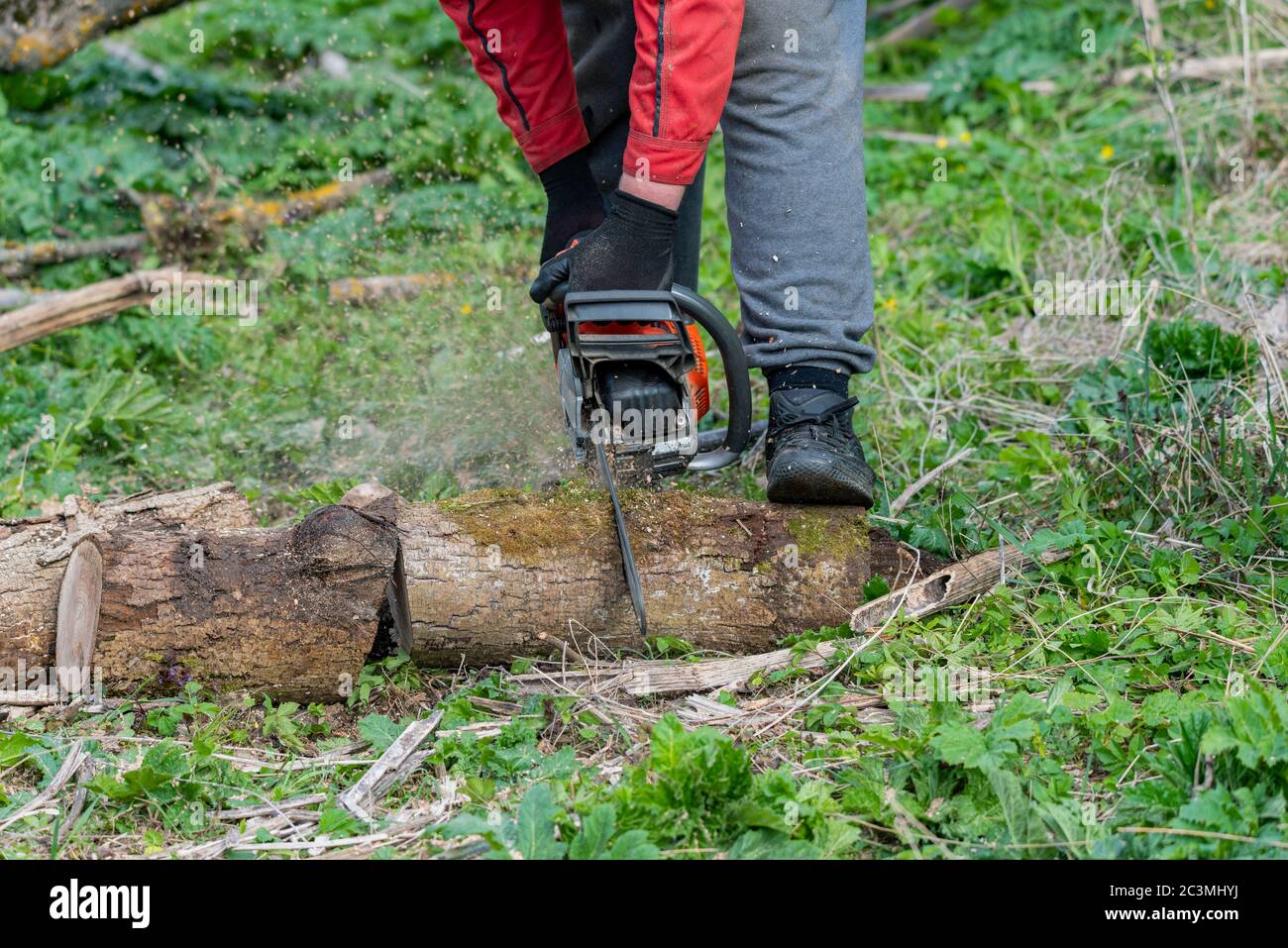 Man works chainsaw in hi-res stock photography and images - Alamy