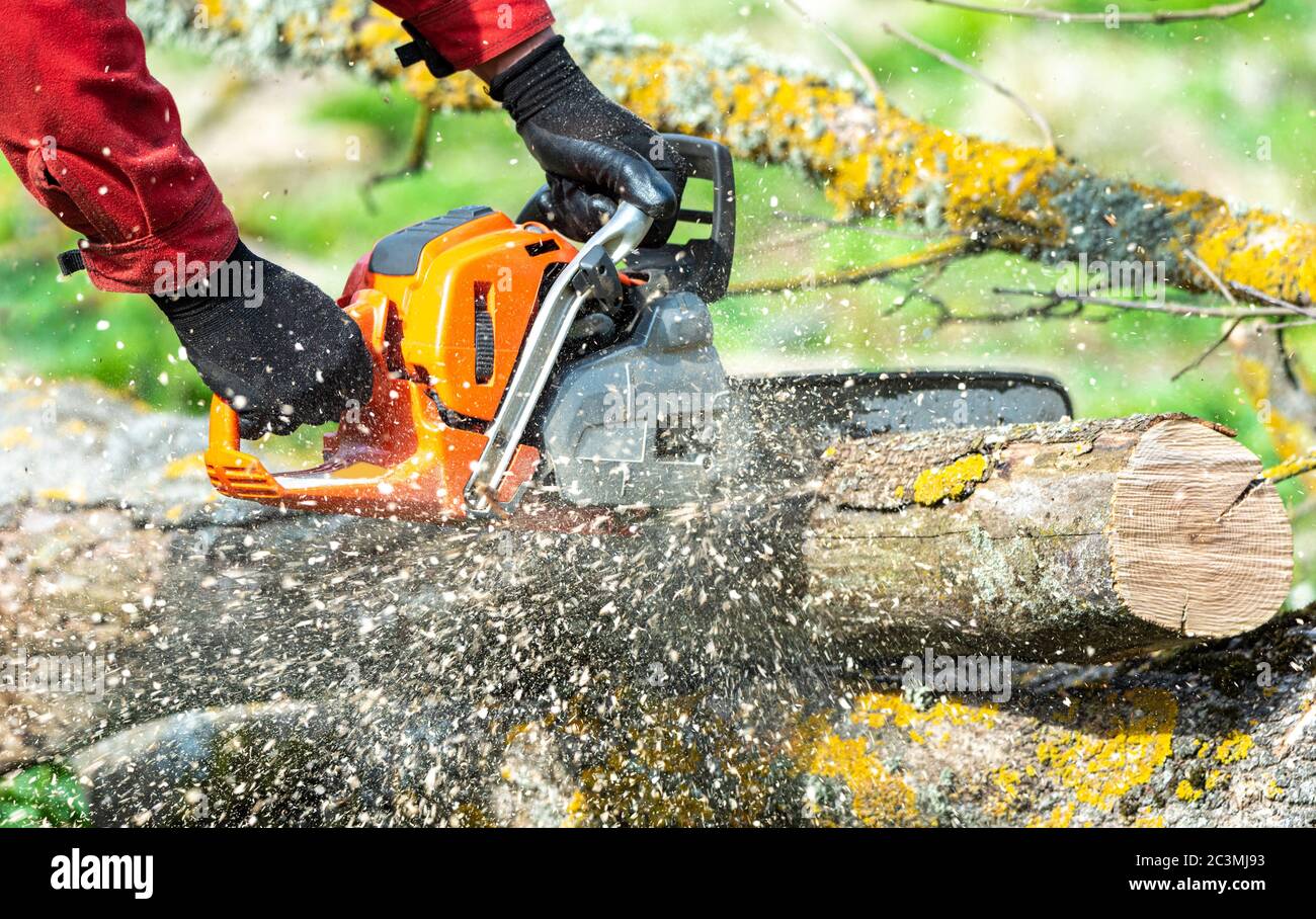 Man works chainsaw in hi-res stock photography and images - Alamy