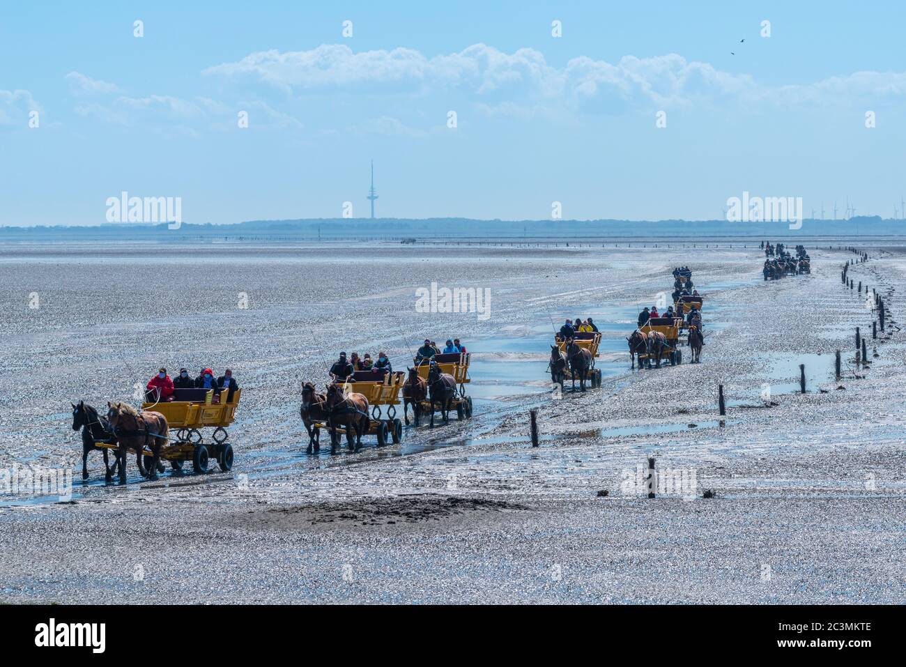 Horse-drawn carriages take tourists from the mainland to the North Sea island of Neuwerk, Federal State Hamburg, North Germany, UNESCO World heritage, Stock Photo