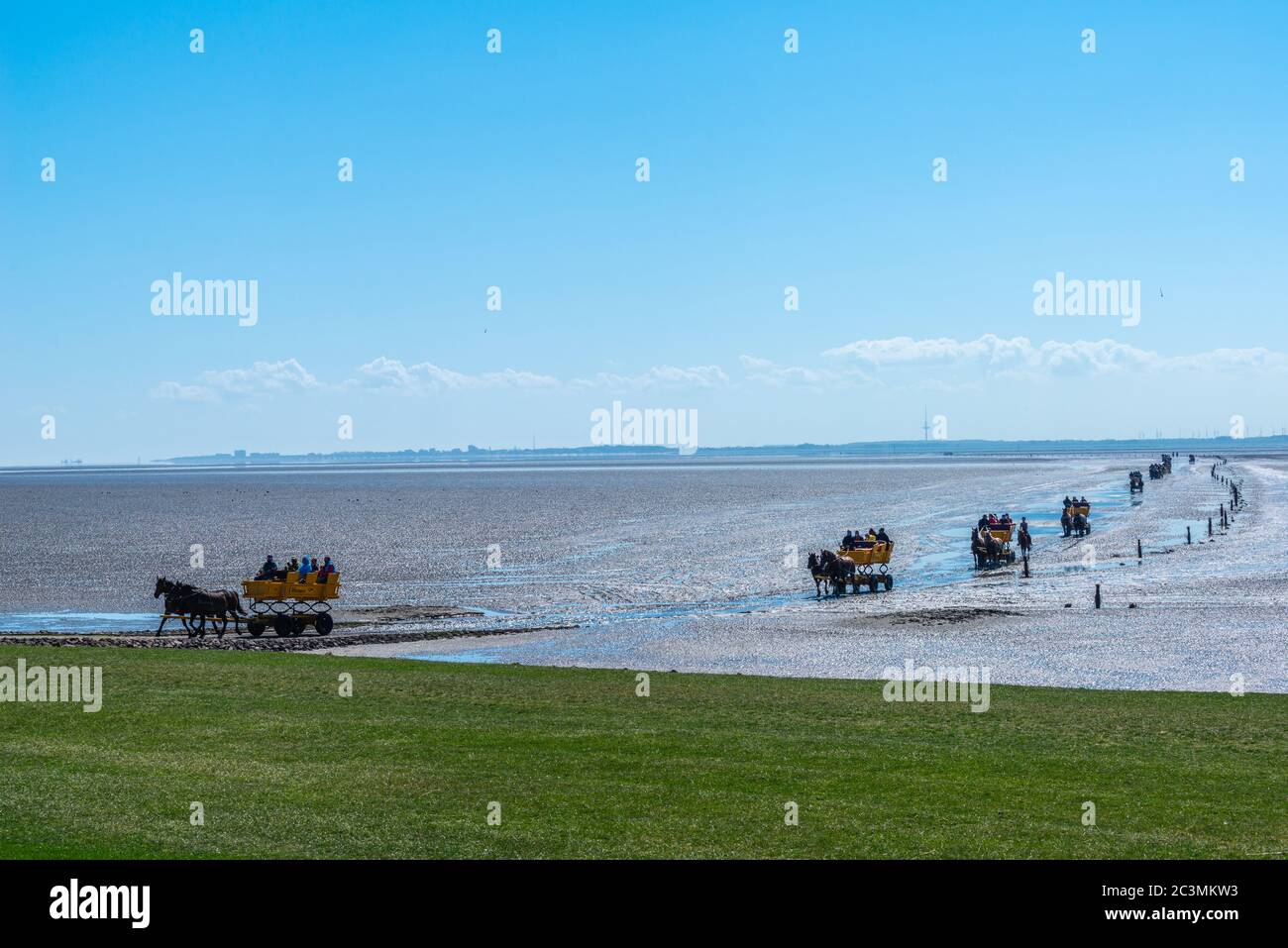 Horse-drawn carriages take tourists from the mainland to the North Sea island of Neuwerk, Federal State Hamburg, North Germany, UNESCO World heritage, Stock Photo