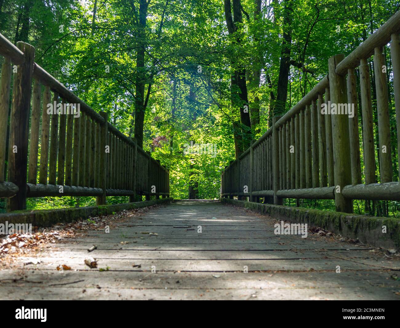 Diminishing perspective of a wooden bridge in a forest Stock Photo