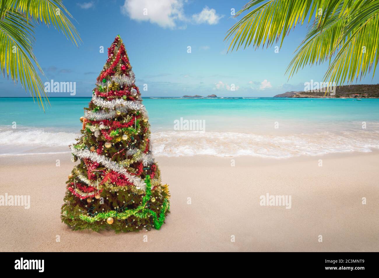 Christmas tree on the beach. Tropical summer holidays. Stock Photo