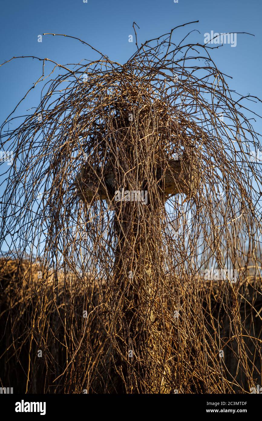 Cross completely covered with dry plants, barely visible Stock Photo