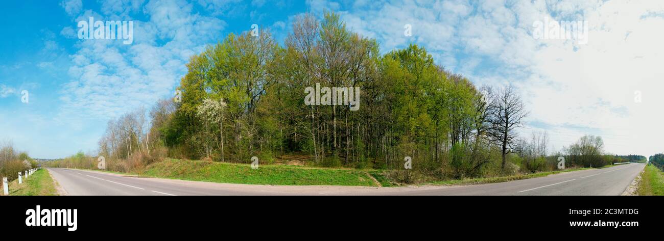 Beautiful rural summer landscape with forest, blue sky and white clouds ...