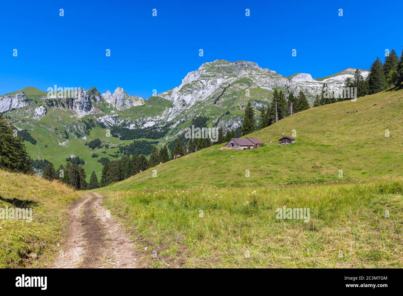 Beautiful view of Swiss countryside on the hiking path toward the peak Santis (Saentis) from the valley, Canton of Appenzell, Switzerland Stock Photo