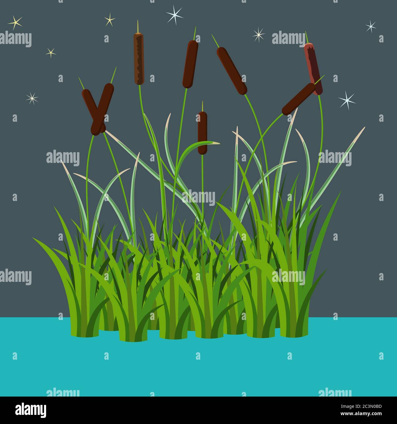 Bunch of reed bushes in the water vector illustration at night time dark style. isolated on white. Nature art work for cartoon props and landscape dec Stock Vector