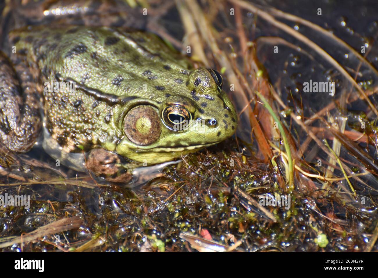 Fantastic preserve hi-res stock photography and images - Alamy