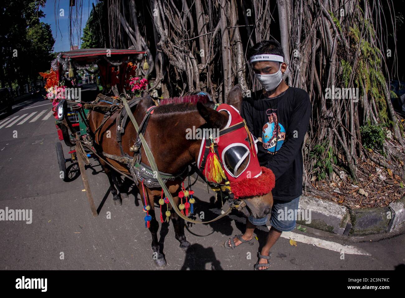 Delman High Resolution Stock Photography And Images Alamy I just lapped you in mario kart , dont be such a delman. https www alamy com bogor indonesia 21st june 2020 a driver delman wear face shield waiting passenger in bogor indonesia on june 21 2020 drivers of traditional horse carriages called delman which are used to transport tourists around the city are struggling to feed their families and their horses after more than three month of work loss due to the coronavirus outbreak photo by aditya saputraina photo agencysipa usa credit sipa usaalamy live news image363728720 html