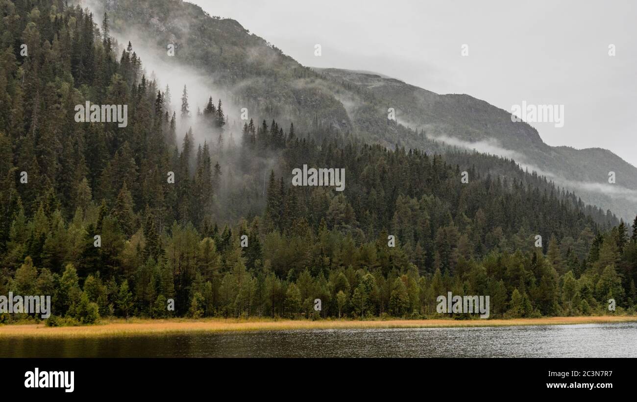 Clouds on lake in Norway mountains. Autumn travel wild nature. Foggy scandinavia cloudy pine forest Stock Photo