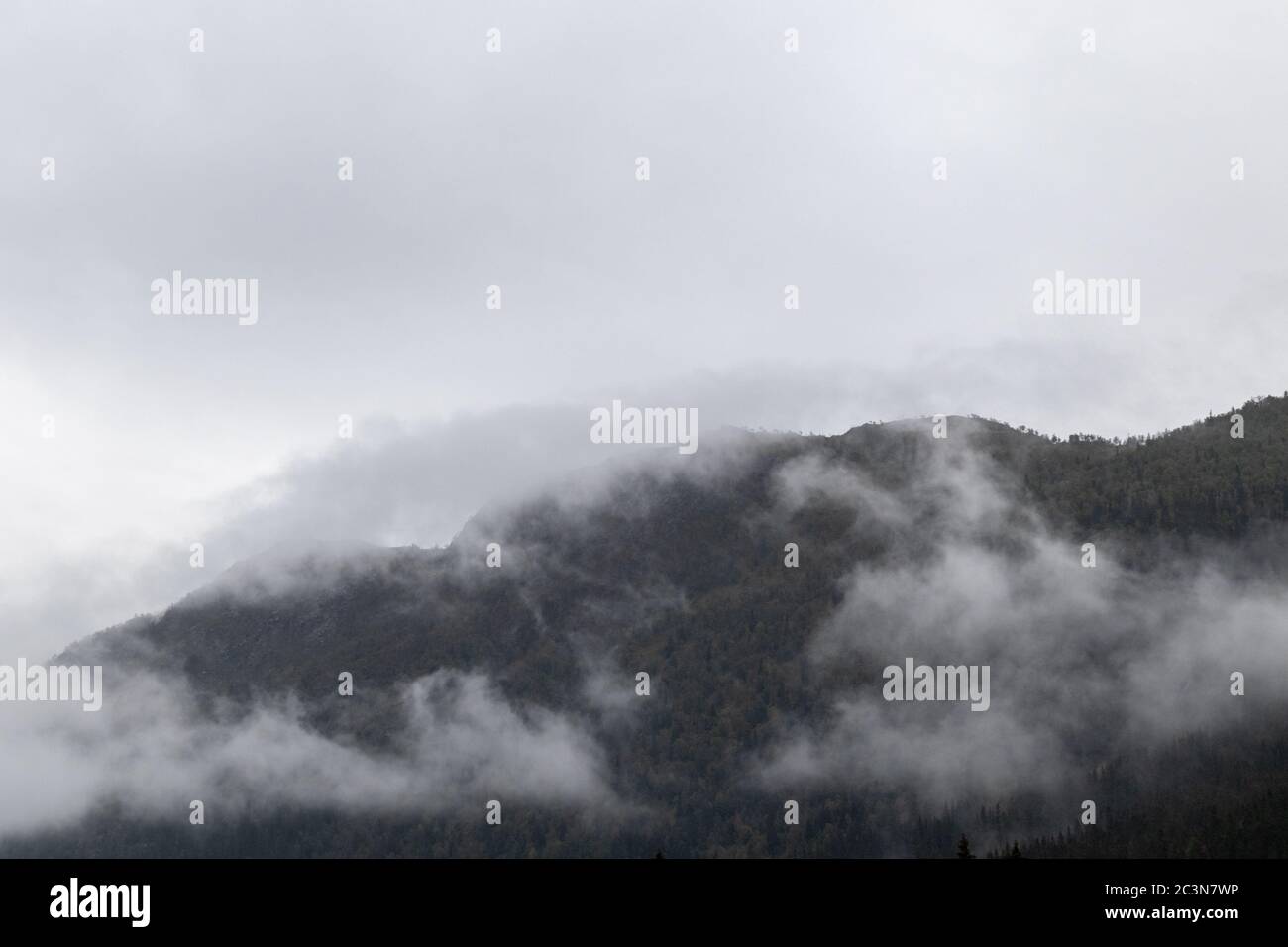 Clouds on forest in Norway mountains. Autumn travel wild nature. Foggy scandinavia cloudy landscape Stock Photo