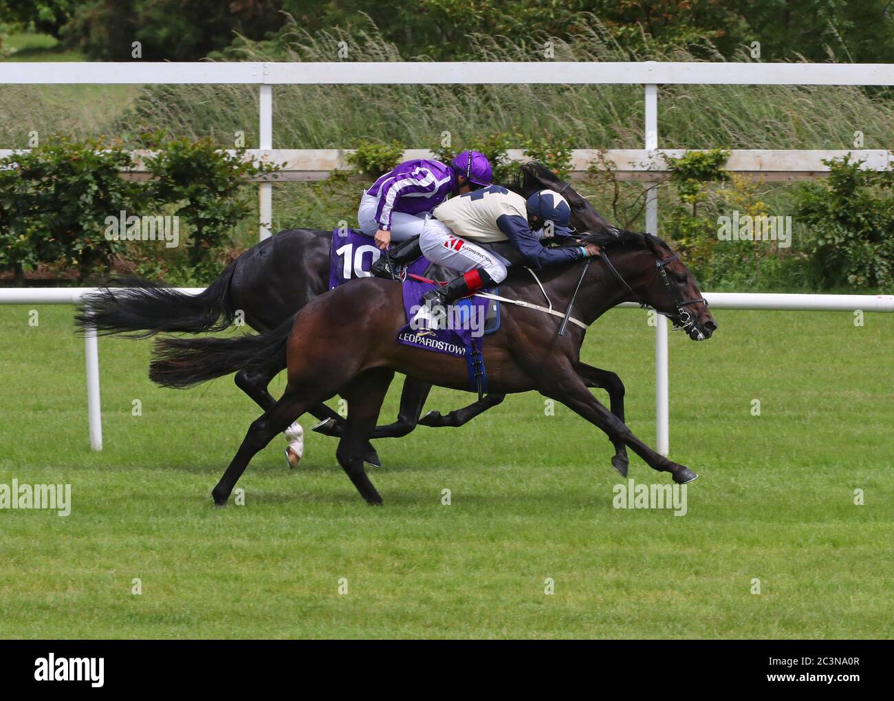 Cork Racecard and Tips: Irish Stallion Farms EBF Fillies Handicap 2026 - News Directory 3