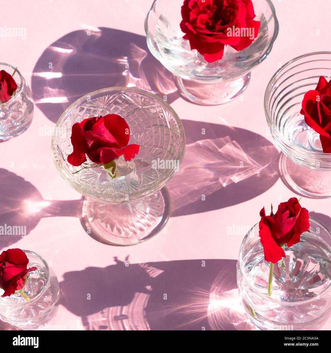 Glasses with clear water and red roses stand on a pink background, top view.  Beautiful creative still life is flooded with light with hard shadows and  Stock Photo - Alamy