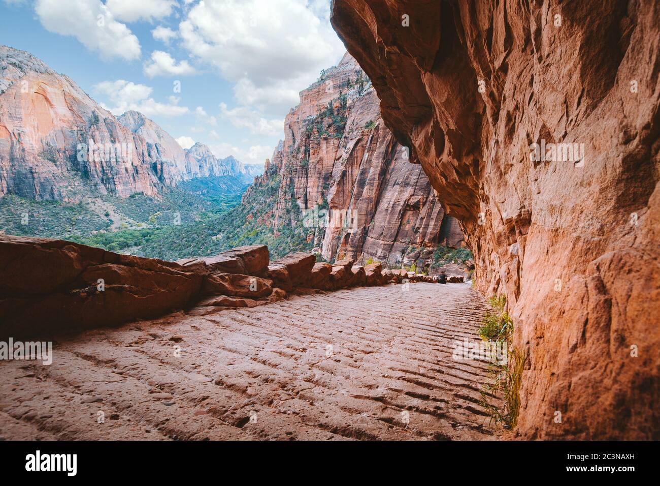Panorama view of Angels Landing hiking trail lead overlooking scenic Zion Canyon on a beautiful sunny day with blue sky, Zion National Park, Utah, USA Stock Photo