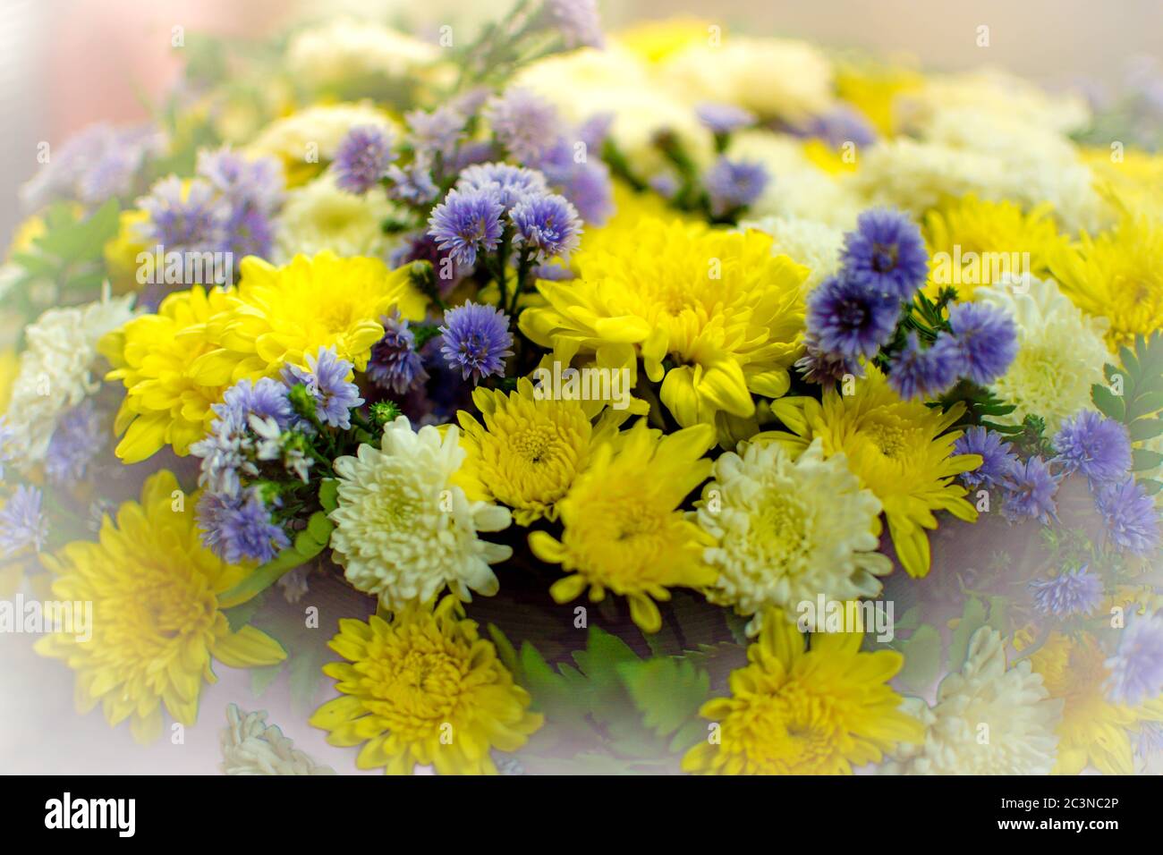 beautiful flowers in basket . Nature concept. Stock Photo