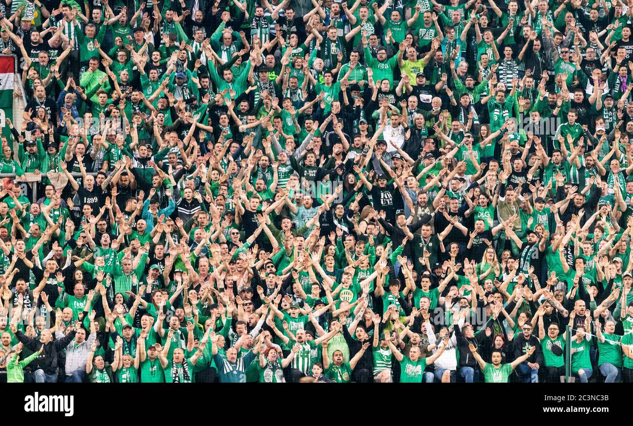 BUDAPEST, HUNGARY - JUNE 20: Ultras of Ferencvarosi TC (as known