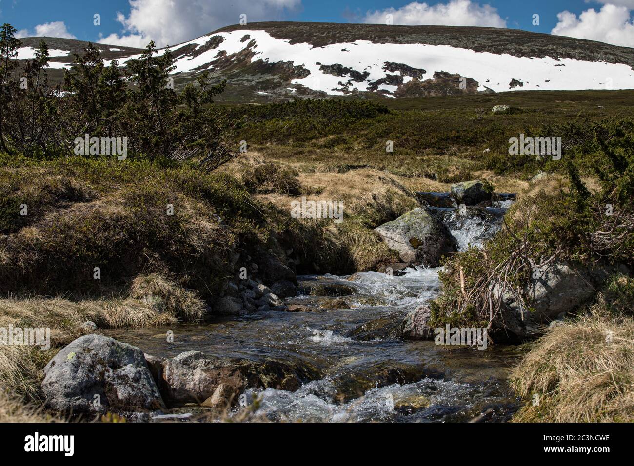A stream of fresh clacier water coming down from the mountain Stock Photo